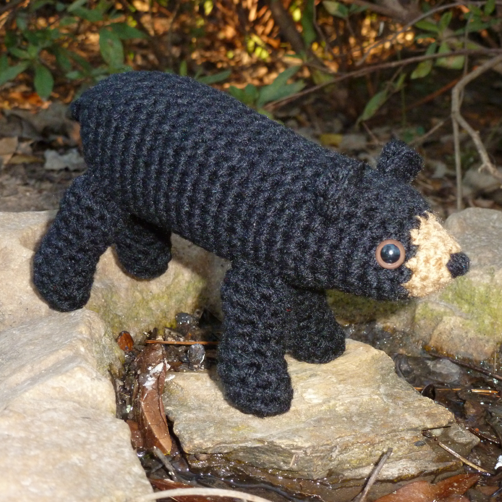 Poconos Black Bear